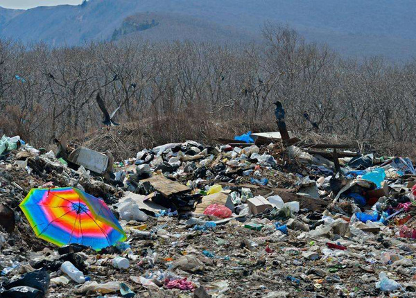 plastic to oil 